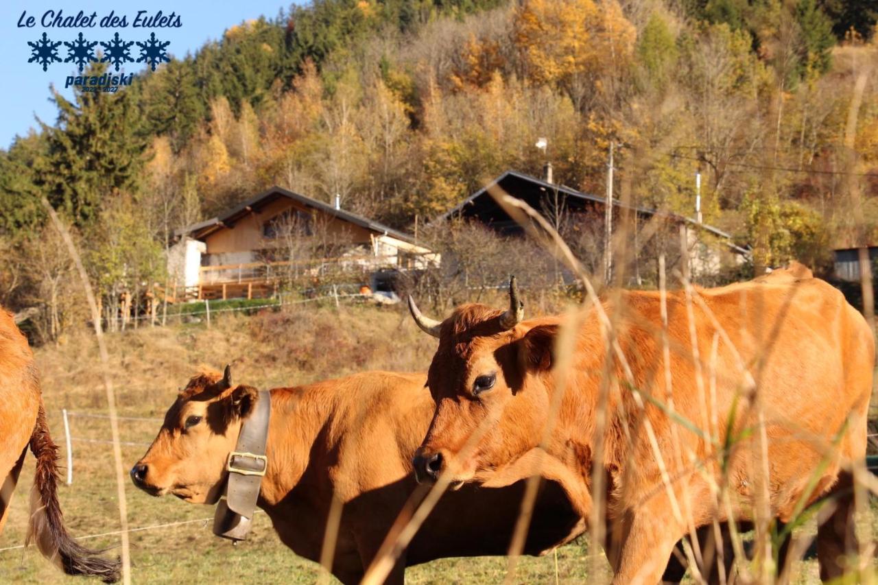 Le Chalet Des Eulets Bourg-Saint-Maurice Dış mekan fotoğraf