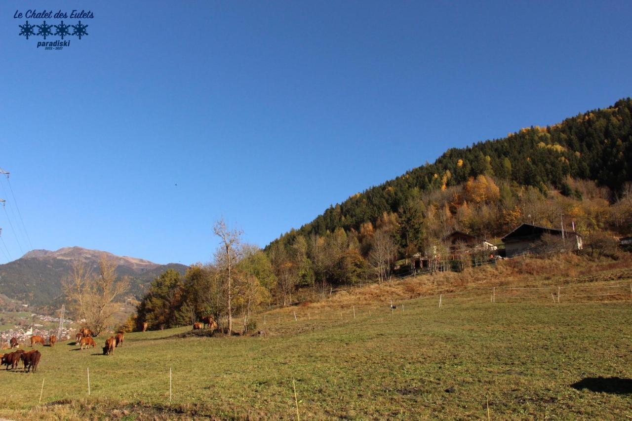 Le Chalet Des Eulets Bourg-Saint-Maurice Dış mekan fotoğraf