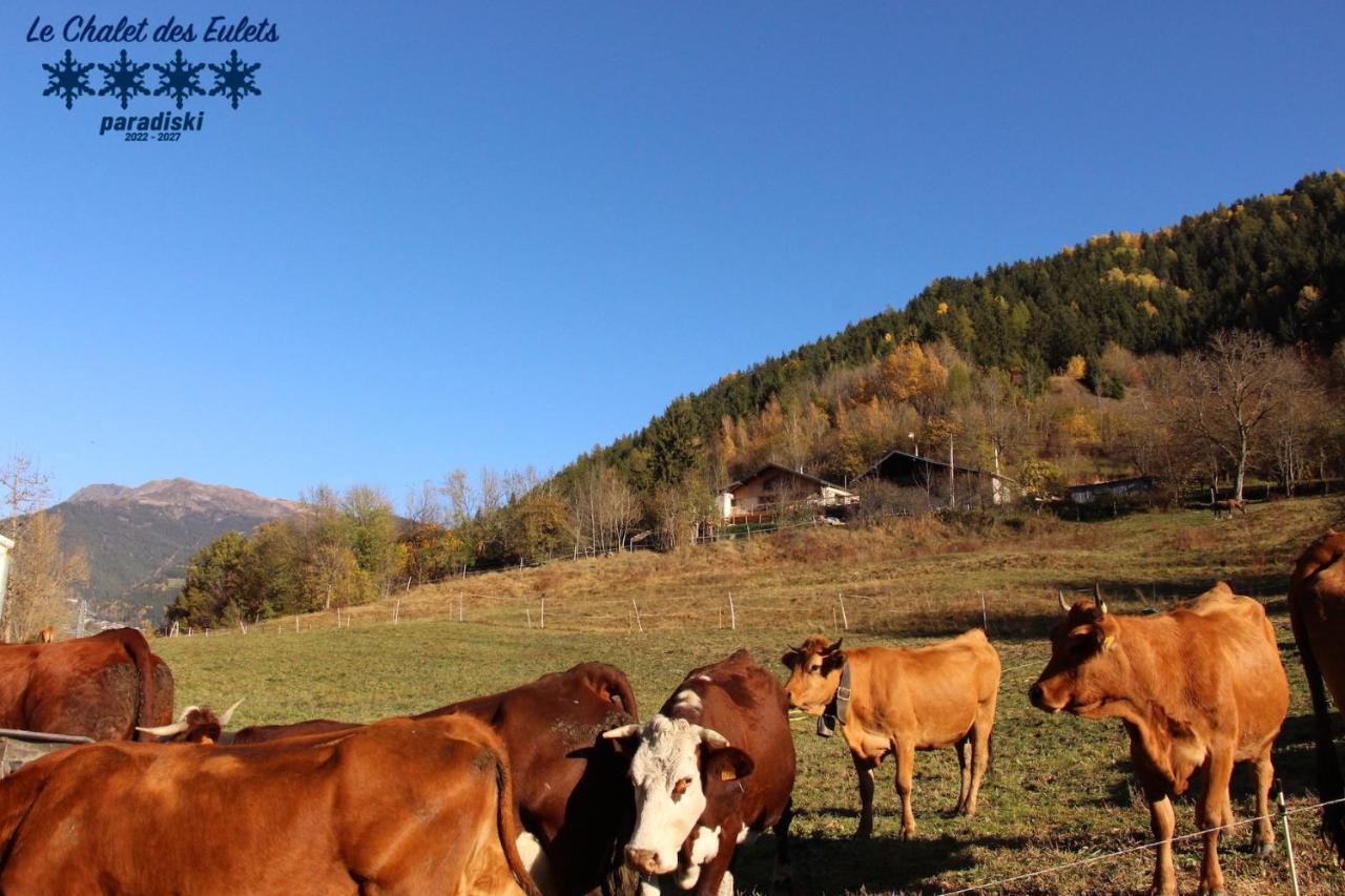 Le Chalet Des Eulets Bourg-Saint-Maurice Dış mekan fotoğraf