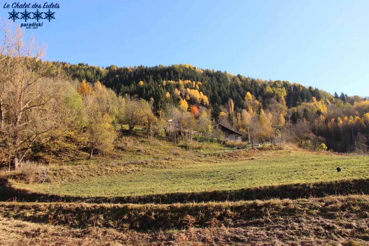 Le Chalet Des Eulets Bourg-Saint-Maurice Dış mekan fotoğraf